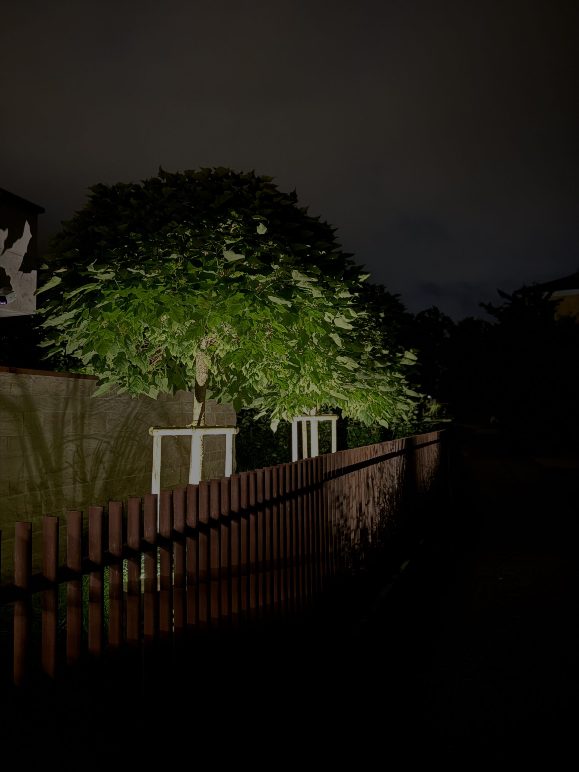 Baumbeleuchtung Privatgarten Gneis Salzburg